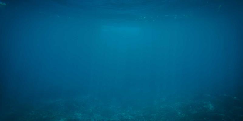 Wi-Fi 7与5G-A/6G融合组网：网络安全、红YUB与编程开发的前瞻挑战