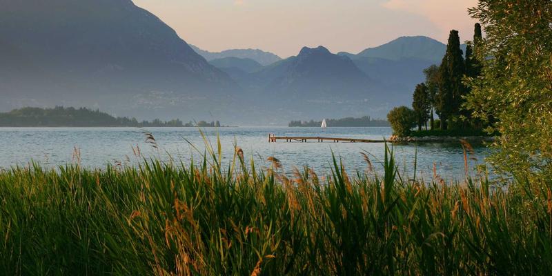 云原生网络(Cloud-Native Networking)在微服务架构下的核心设计与关键挑战