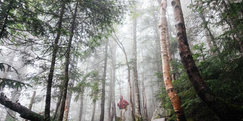 网络切片在5G专网中的实现：关键技术、资源隔离与行业应用案例分析