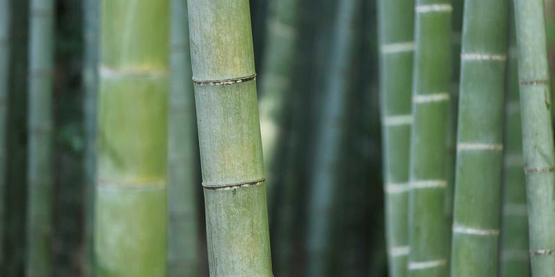 网络安全实战指南：从红YUB技术解析到技术博客防御体系建设