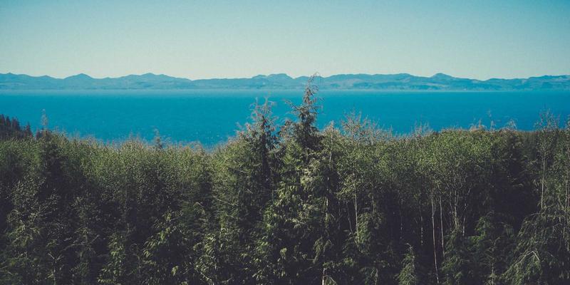 网络技术13：资源分享、编程开发与网络安全的融合实践