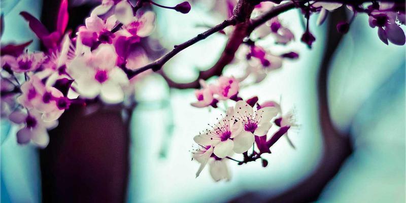 网络技术36：构建网络安全知识体系的实践指南与技术资源全景