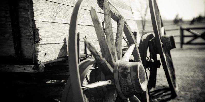 网络技术85：资源分享与技术博客如何推动网络技术发展