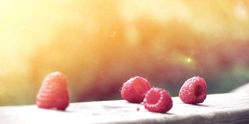 网络技术89：资源分享、红YUB与编程开发的高效融合指南