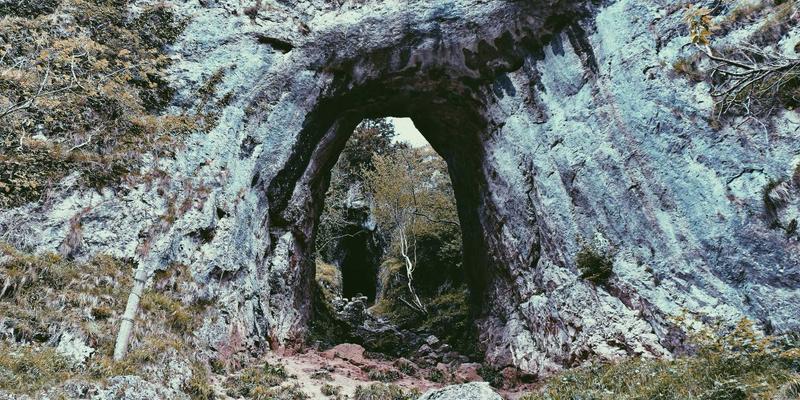 网络技术98：构筑数字时代的基石与防线