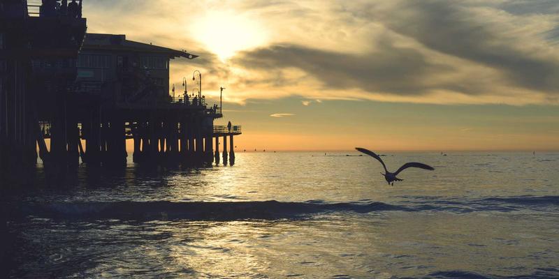 网络技术应用的三重维度：编程开发、网络技术与网络安全的融合演进