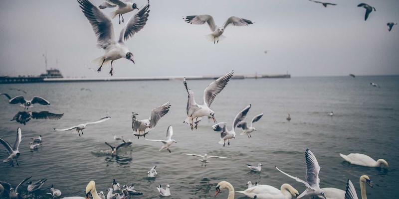 网络技术是什么？从基础架构到网络安全的全方位解析