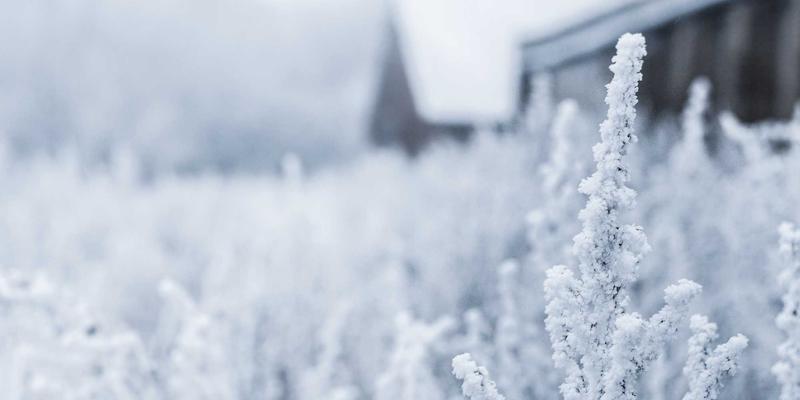 网络数据包代理（NPB）技术解析：提升网络监控与安全工具能见度的幕后英雄